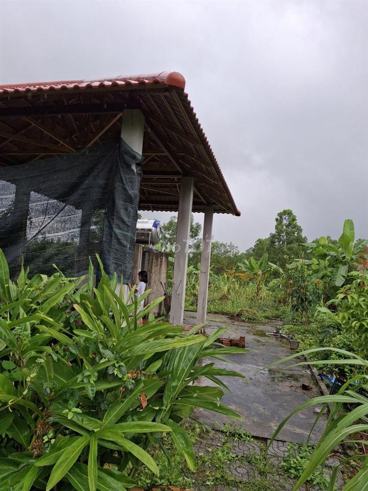 Bán lô đất sẵn villa vườn