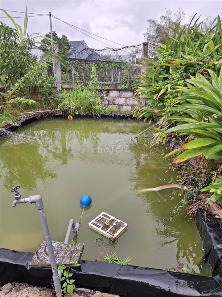 Bán lô đất sẵn villa vườn