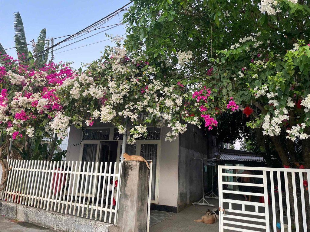 nhả chính chủ