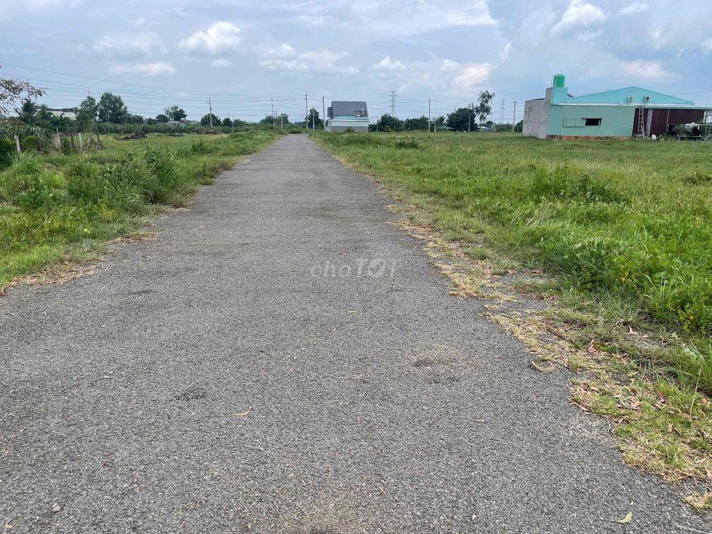 đất full thổ cư mươn máng 200m