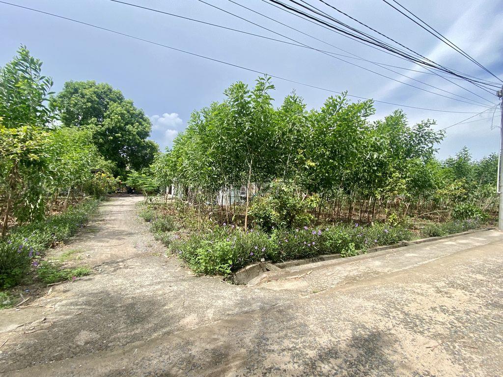 Đất nền gần sân bay Long Thành