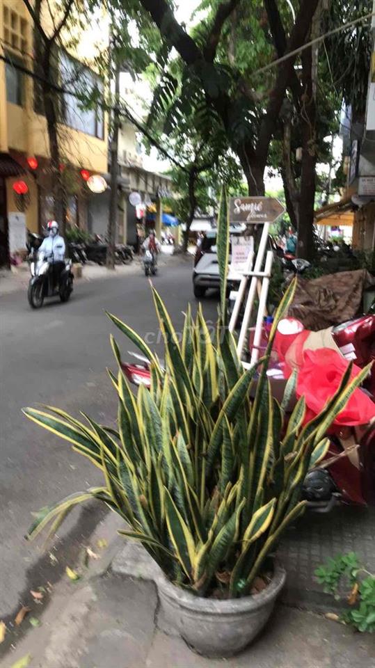 Cần bán nhà-Cần khách mua nhà có thiện ý tốt