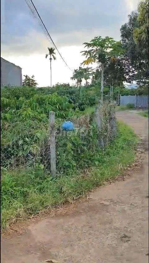 bán đất có thổ cư krong nô đak nông