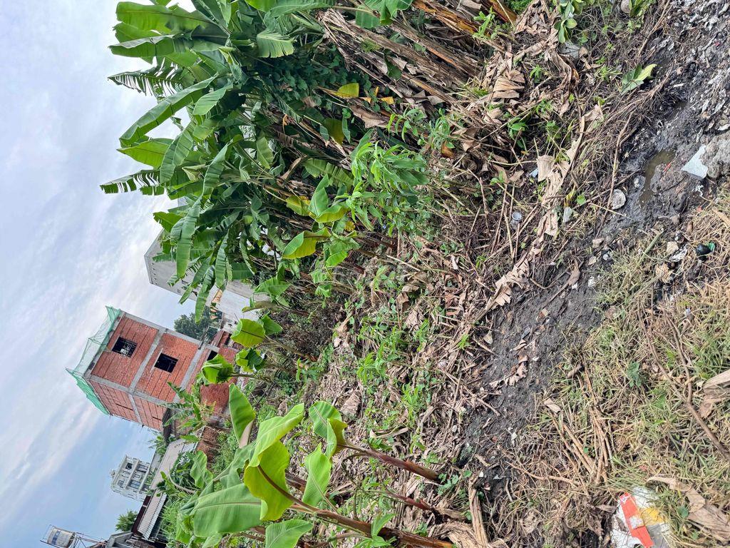 📣📣📣 GẤP GẤP  Em đang cần bán 1 miếng đất Q9 cũ nay là Thủ Đức Diện tíc