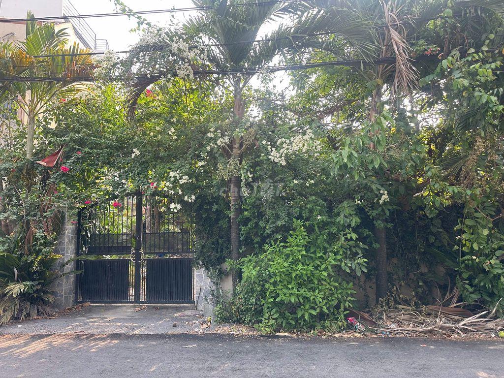 Bán gấp nhà mặt tiền đường 23, Bình Chánh 