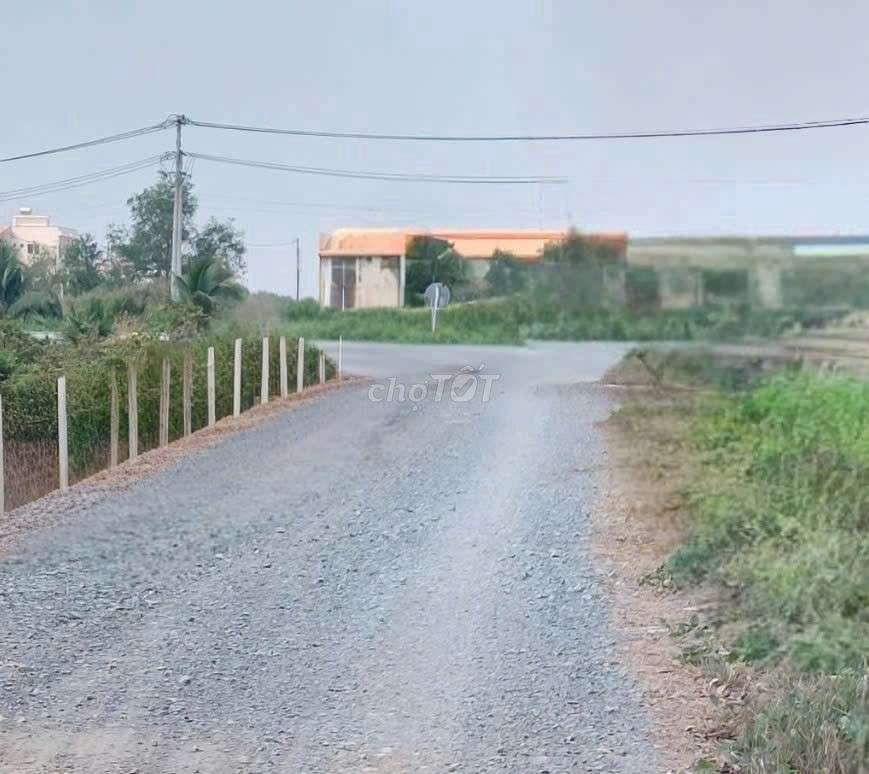 cho thuê 9500m2 đất vườn Đường Vườn Thơm xã Bình Lợi HBC 