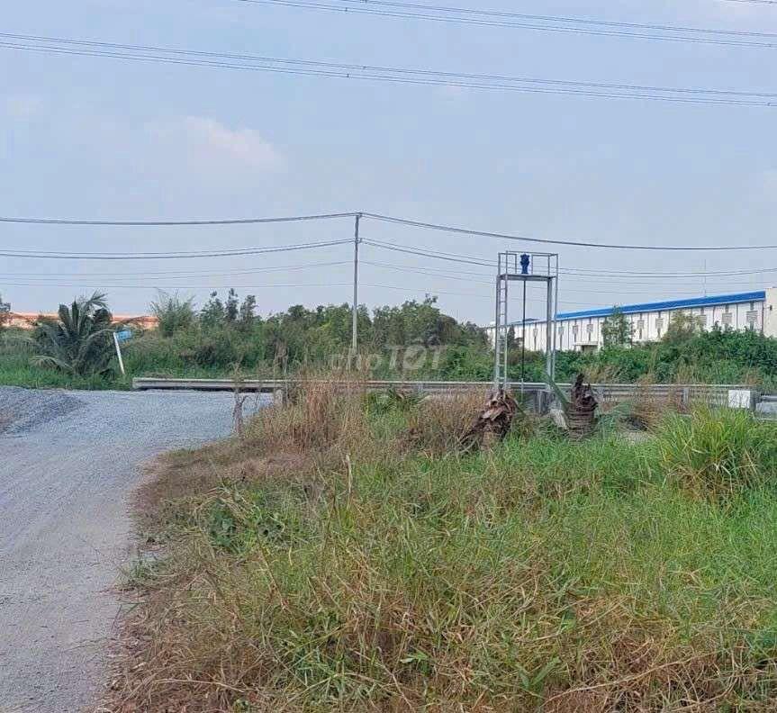 cho thuê 9500m2 đất vườn Đường Vườn Thơm xã Bình Lợi HBC 