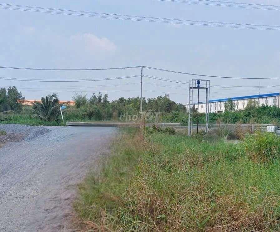 cho thuê 9500m2 đất vườn Đường Vườn Thơm xã Bình Lợi HBC 