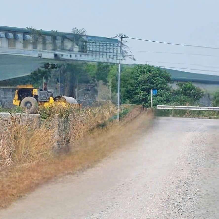 cho thuê 9500m2 đất vườn Đường Vườn Thơm xã Bình Lợi HBC 