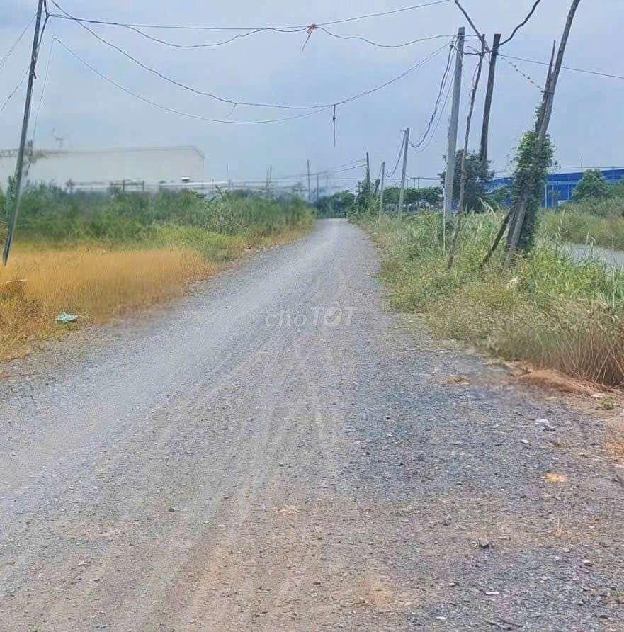 cho thuê 9500m2 đất vườn Đường Vườn Thơm xã Bình Lợi HBC 