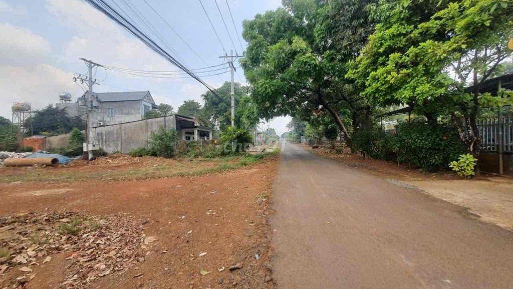 Cho thuê nhà xưởng giá rẻ