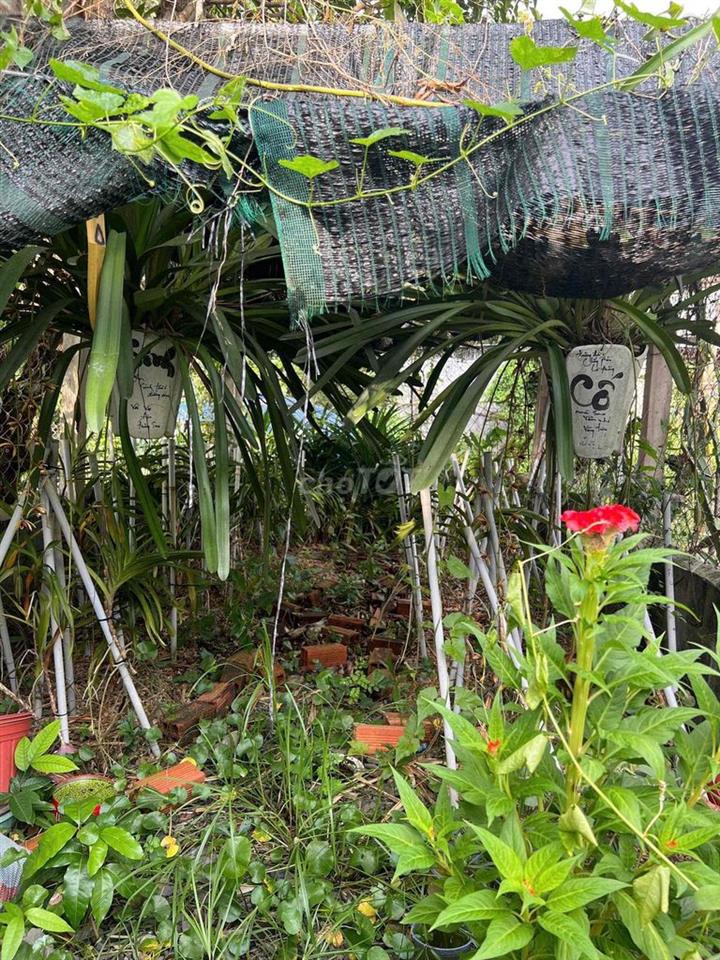 Bán nhà củ chi gần chợ, trường học