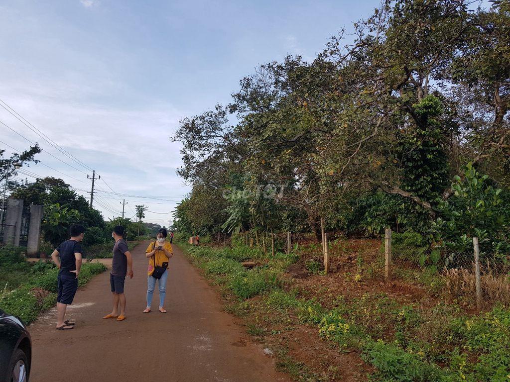 🌿 CHÍNH CHỦ BÁN NHÀ VƯỜN VIEW HỒ ĐẮK R’KRU 2 – ĐƯỜNG 12M – CHỈ 950TR