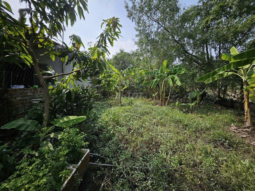 BÁN ĐẤT VƯỜN – ĐƯỜNG NGUYỄN VĂN RÀNG-P.NHÀ BÈ, 136m2 – CHỈ 1,1 TỶ