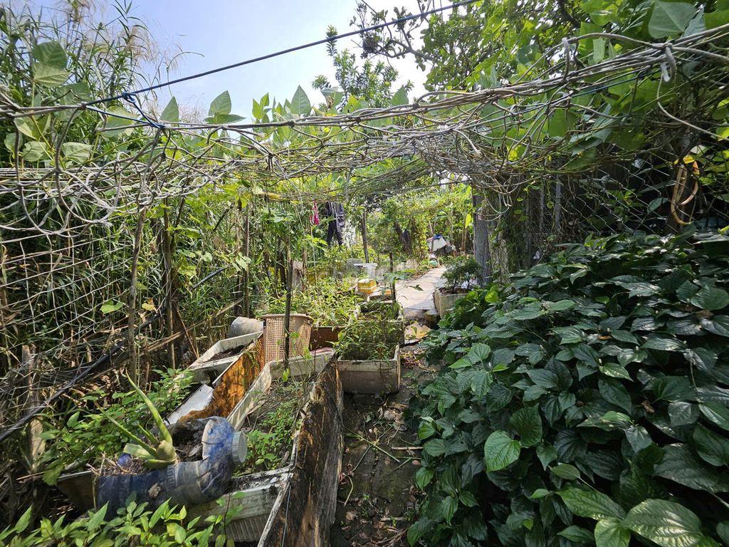BÁN ĐẤT VƯỜN – ĐƯỜNG NGUYỄN VĂN RÀNG-P.NHÀ BÈ, 136m2 – CHỈ 1,1 TỶ