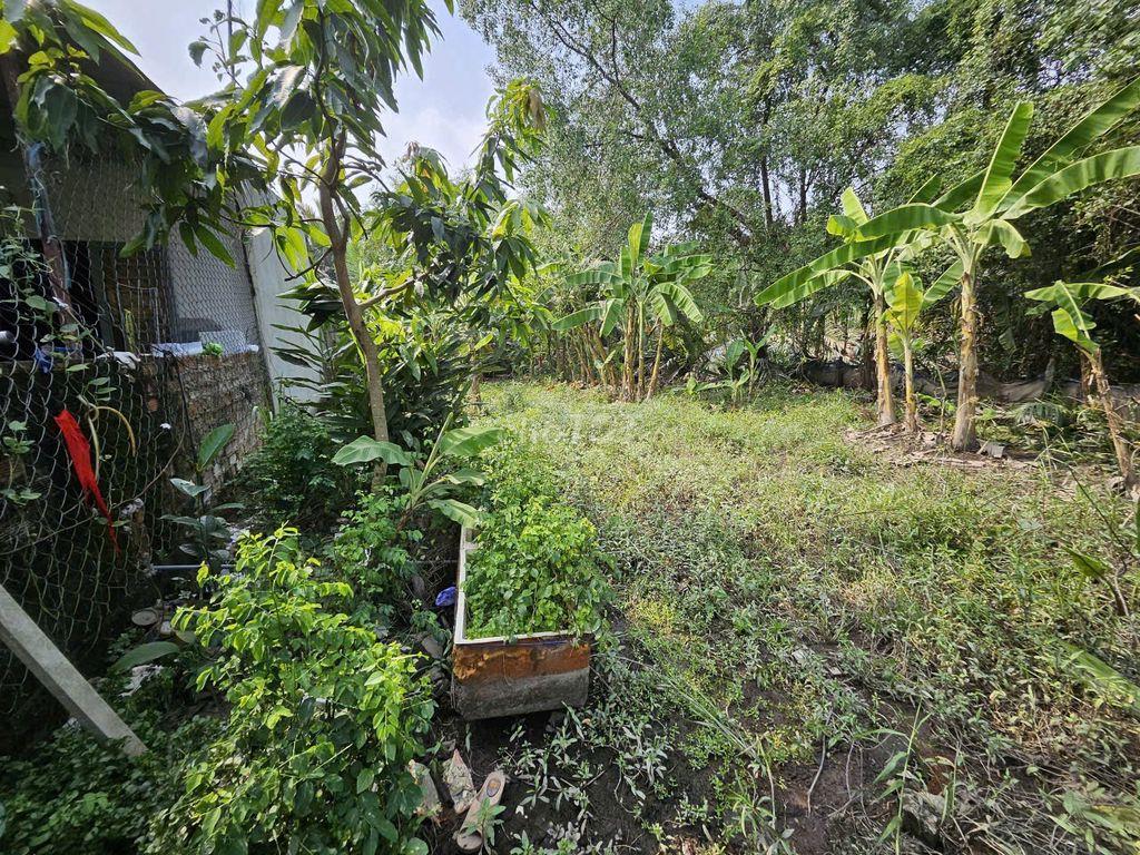 BÁN ĐẤT VƯỜN – ĐƯỜNG NGUYỄN VĂN RÀNG-P.NHÀ BÈ, 136m2 – CHỈ 1,1 TỶ
