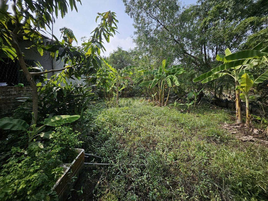 BÁN ĐẤT VƯỜN – ĐƯỜNG NGUYỄN VĂN RÀNG-P.NHÀ BÈ, 136m2 – CHỈ 1,1 TỶ