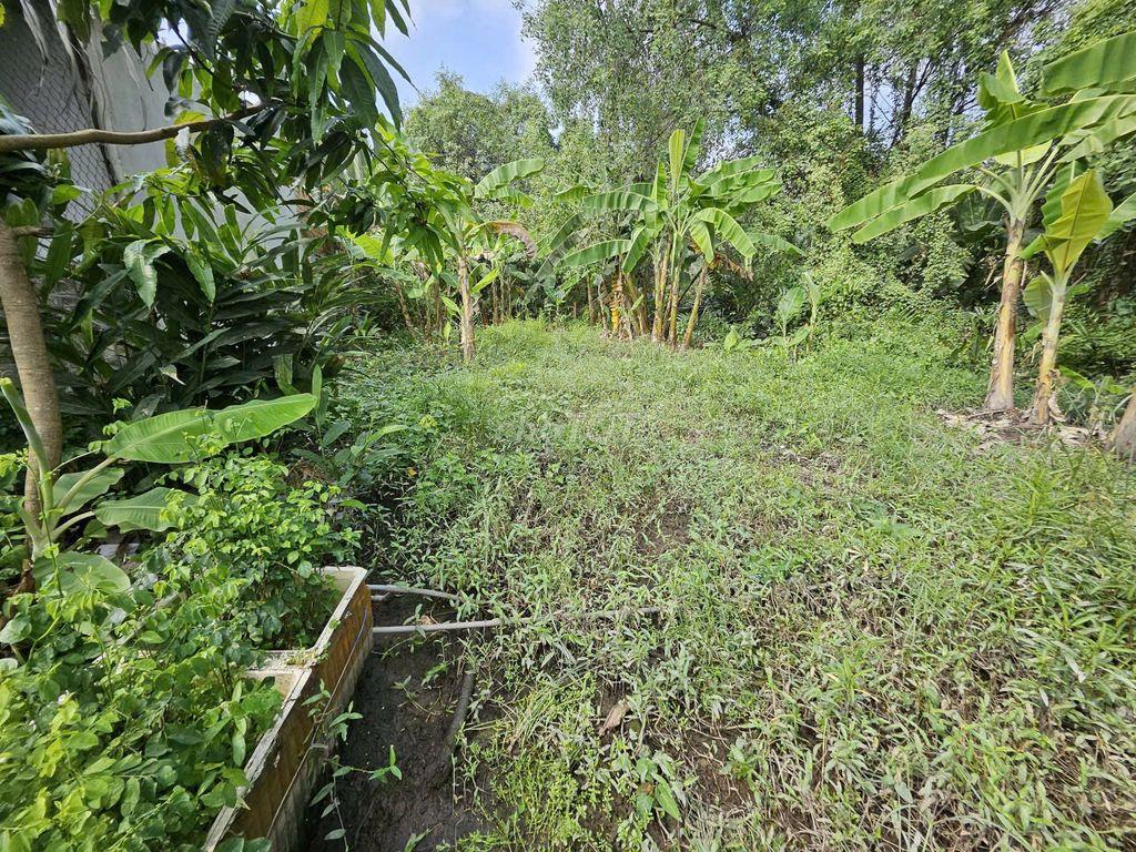 BÁN ĐẤT VƯỜN – ĐƯỜNG NGUYỄN VĂN RÀNG-P.NHÀ BÈ, 136m2 – CHỈ 1,1 TỶ
