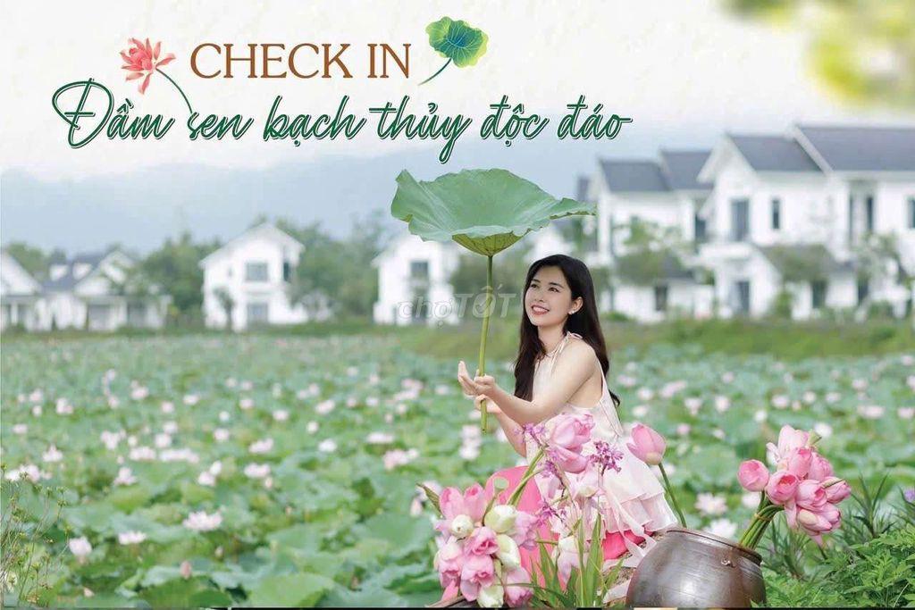 thuê ngắn và dài hạn