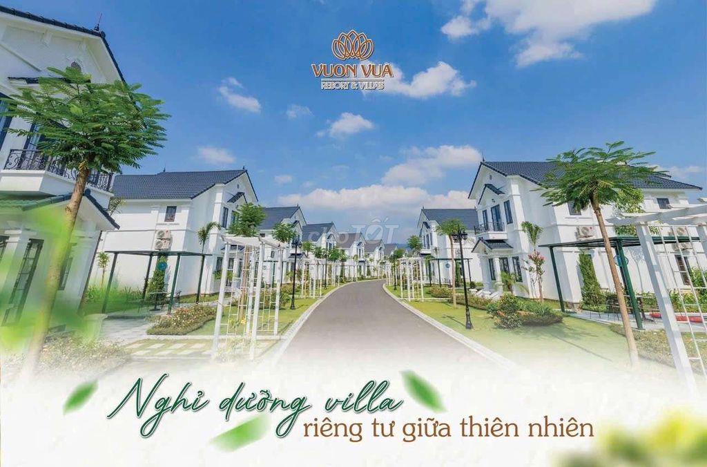 thuê ngắn và dài hạn