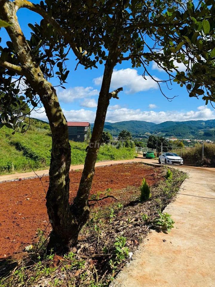 Bán lô đất 136m²—THỔ CƯ, 2 MẶT TIỀN đường bê tông, view đồi thoáng