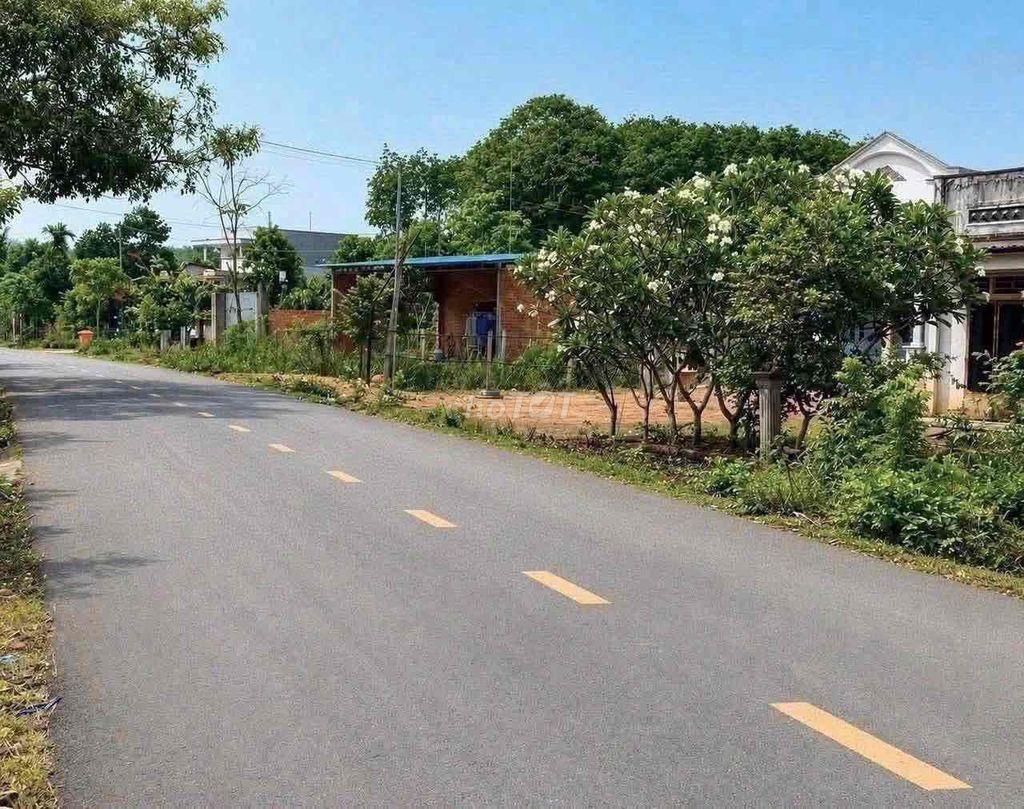 đất thổ cư giá rẻ