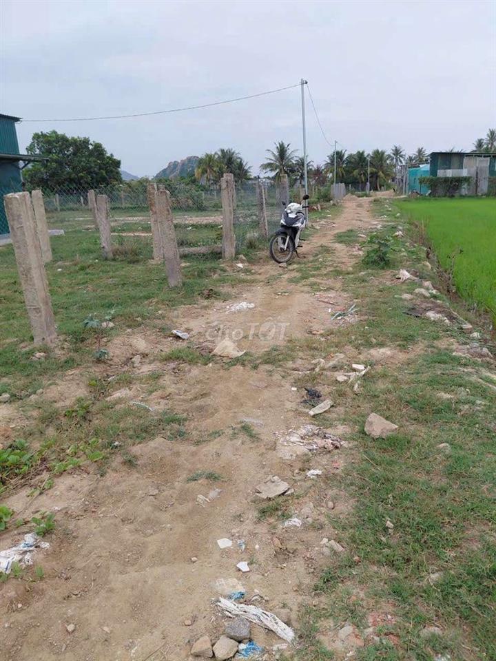300m2 đất Hò Rò cách biển Ninh Chử 2km, 570tr