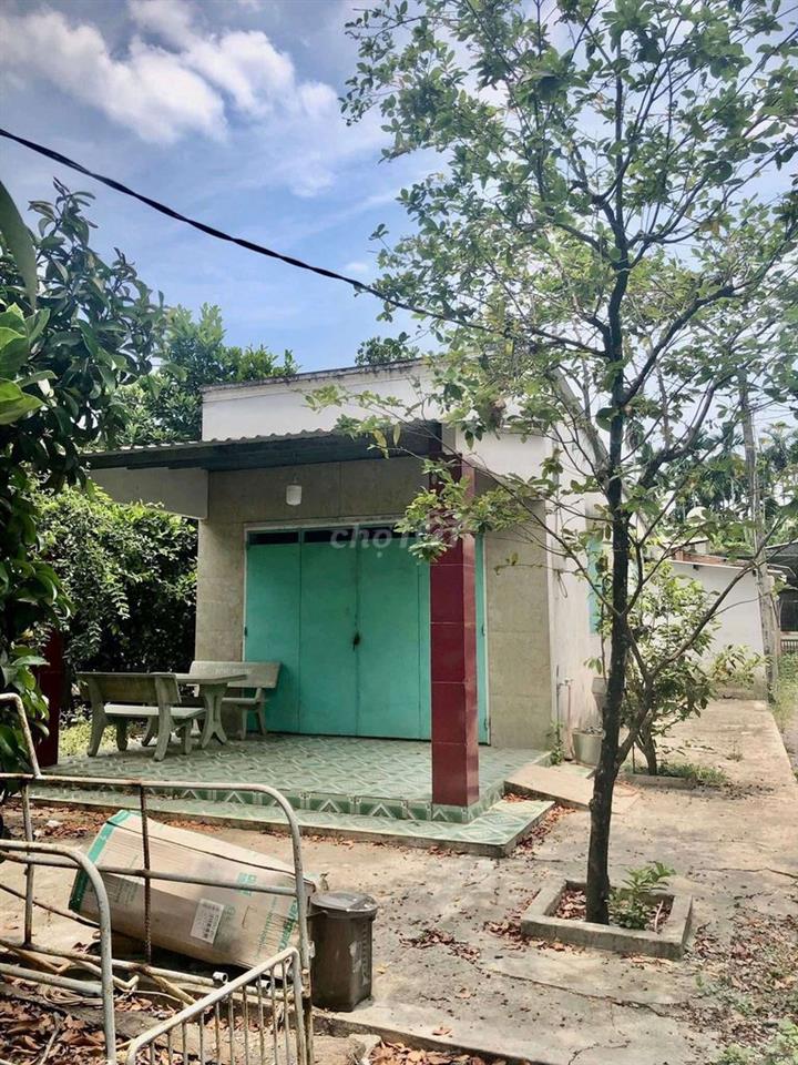 CHO THUÊ NHÀ + VƯỜN