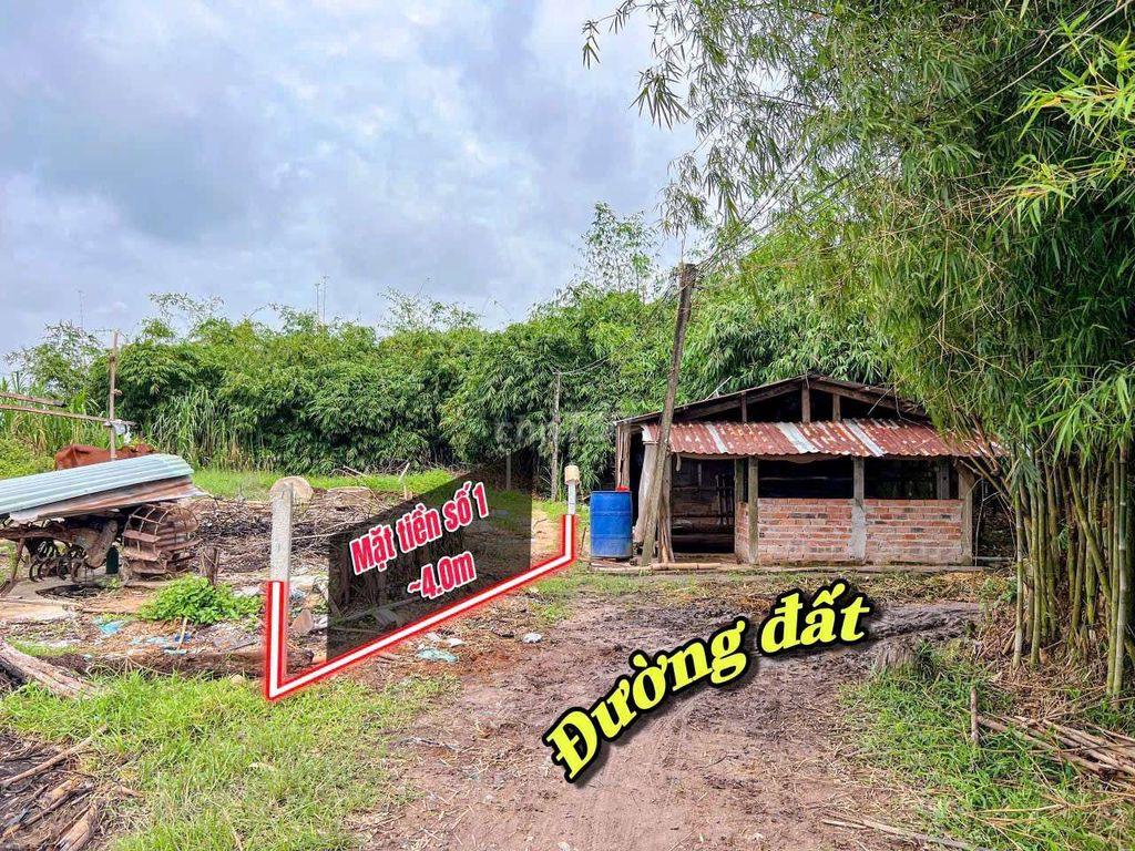 Đất vườn Long Thuận, Bến cầu, Tây ninh 12.654m2