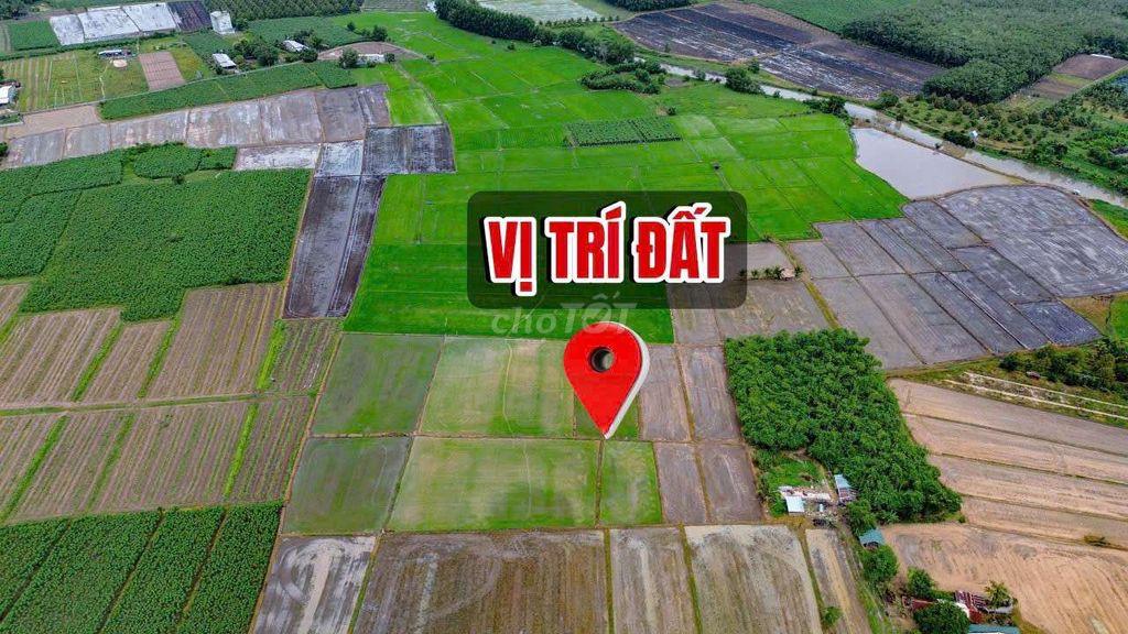 Đất vườn Long Thuận, Bến cầu, Tây ninh 12.654m2