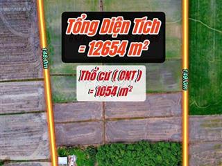 Đất vườn Long Thuận, Bến cầu, Tây ninh 12.654m2