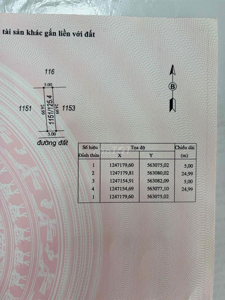 Chính chủ cần bán nhanh lô đất 5x25m (thổ cư 50m2) có sổ sẵn