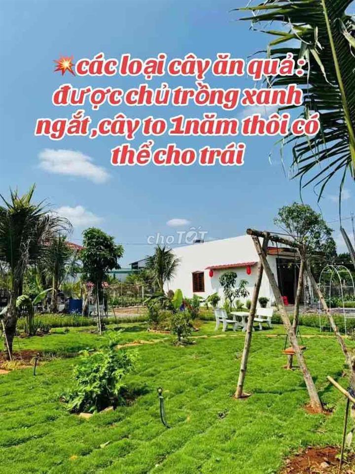 Ông bạn cần bán căn nhà vườn