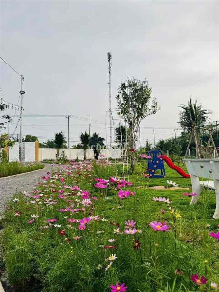 Ông bạn cần bán căn nhà vườn