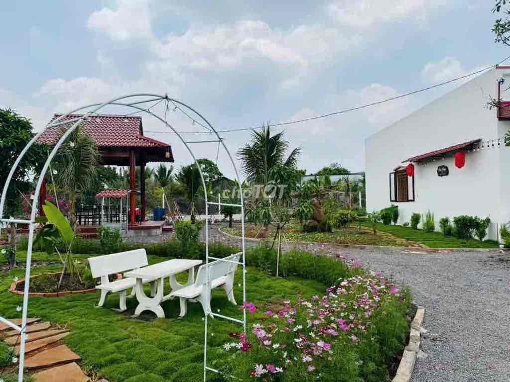 Ông bạn cần bán căn nhà vườn