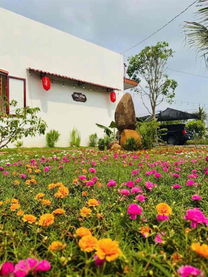 Ông bạn cần bán căn nhà vườn