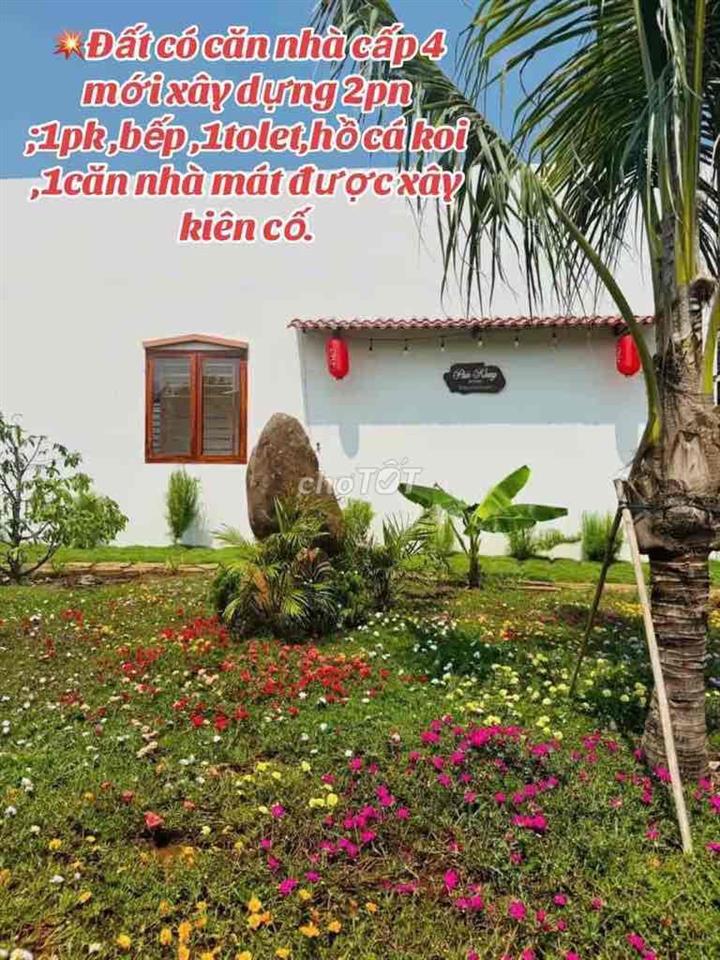 Ông bạn cần bán căn nhà vườn