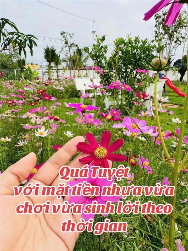 Ông bạn cần bán căn nhà vườn