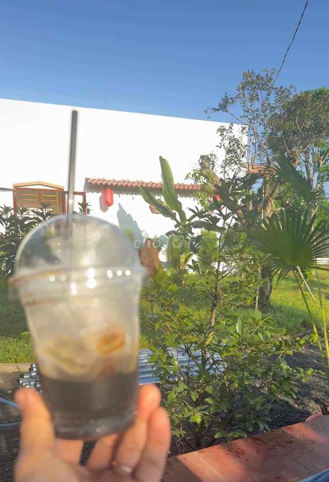 Ông bạn cần bán căn nhà vườn