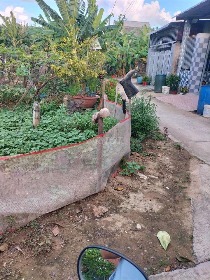 bán đất gần cổng 1 đồng tâm