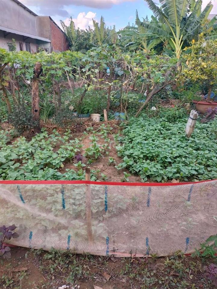 bán đất gần cổng 1 đồng tâm
