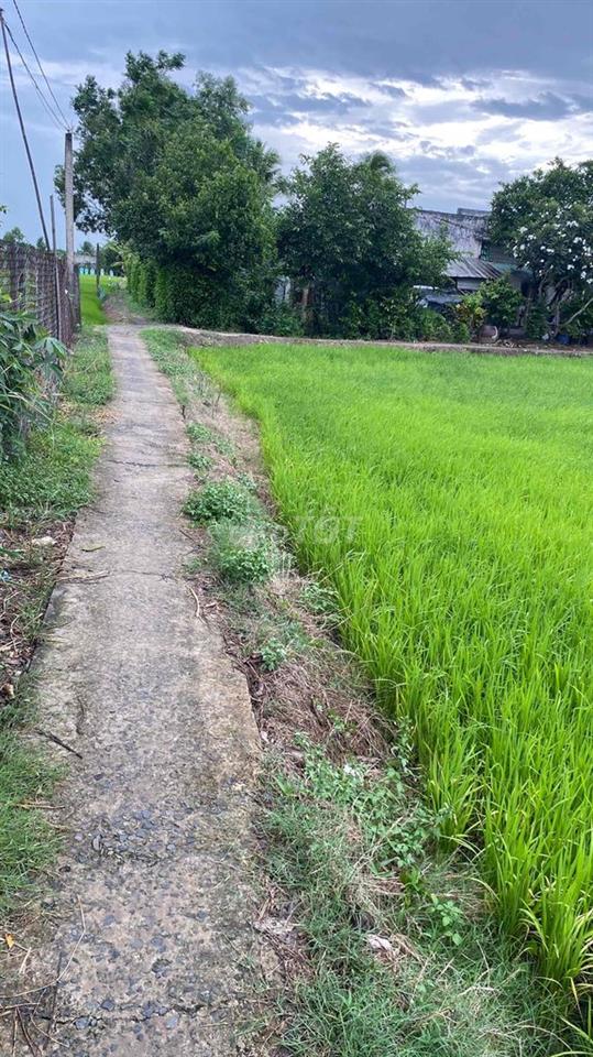 BÁN ĐẤT CHÍNH CHỦ FULL THỔ CƯ
