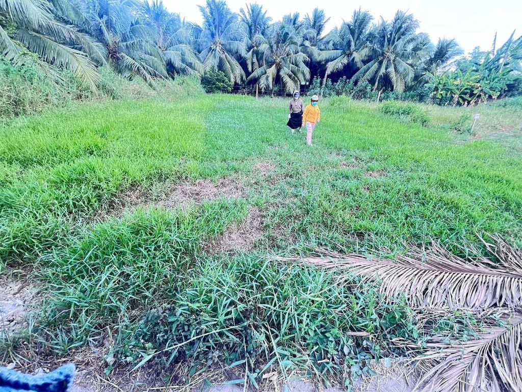 đất nền full thổ cư