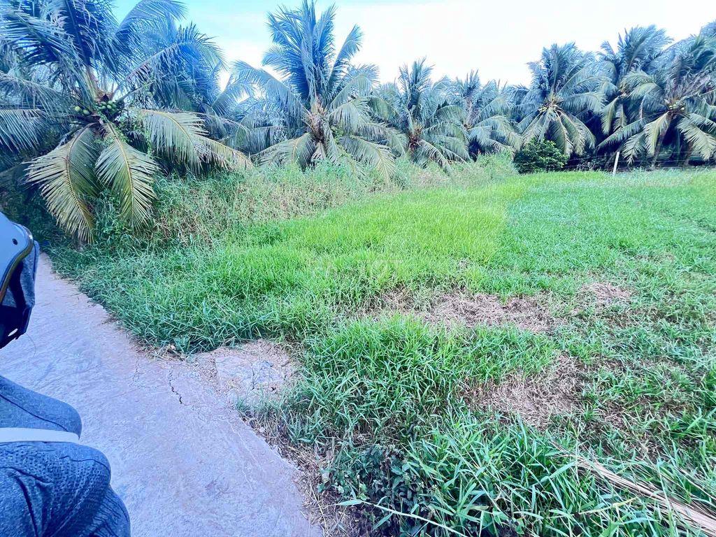 đất nền full thổ cư