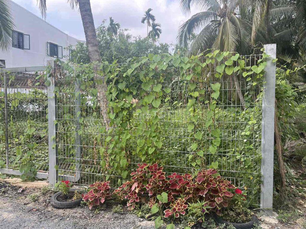 bán đắt an thạnh 10