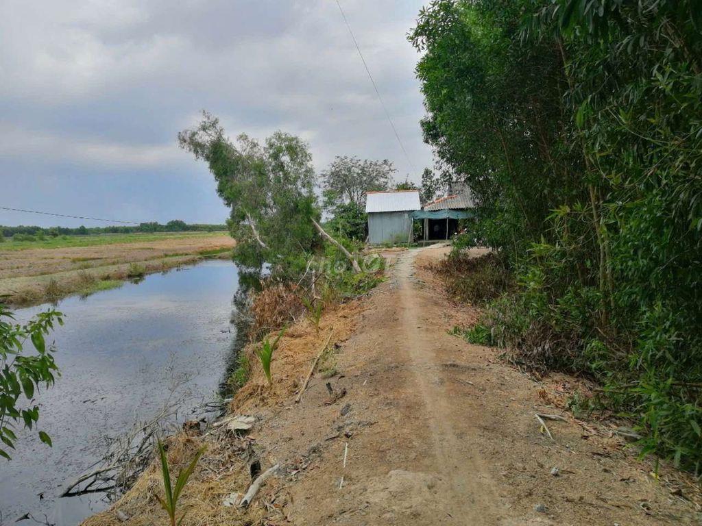 đất bán thổ cư