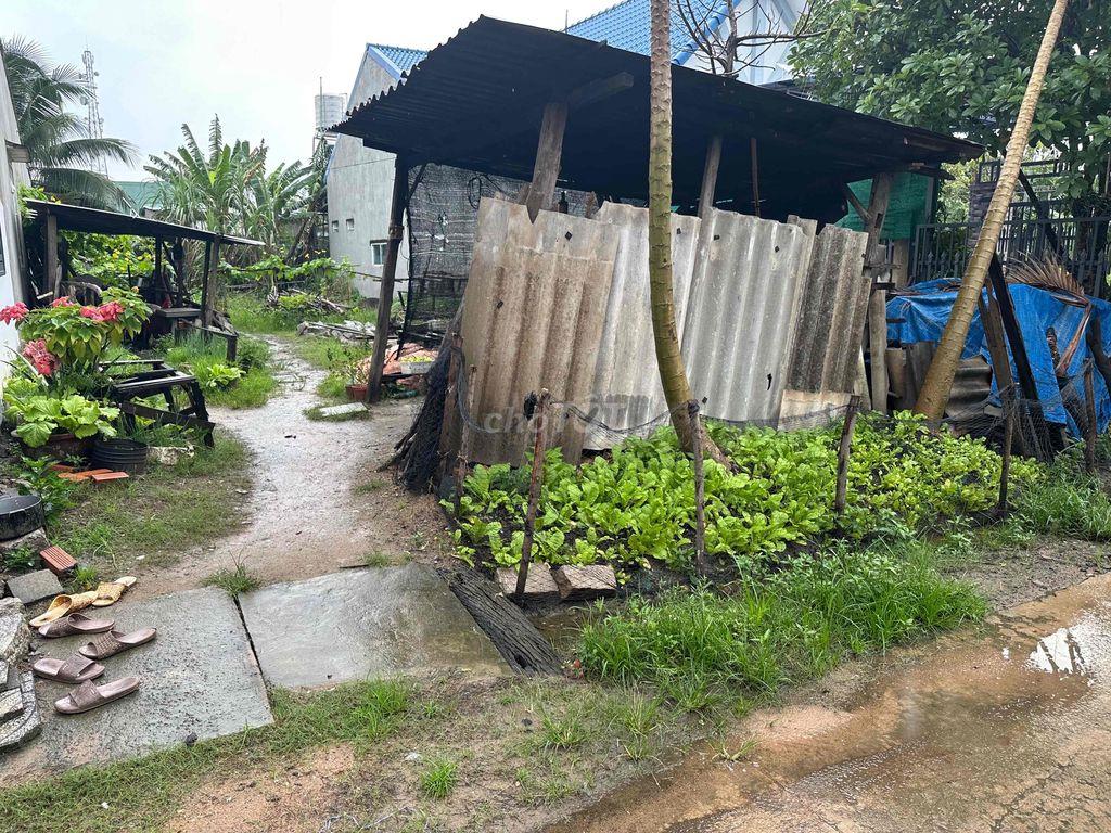 ĐẤT NỀN