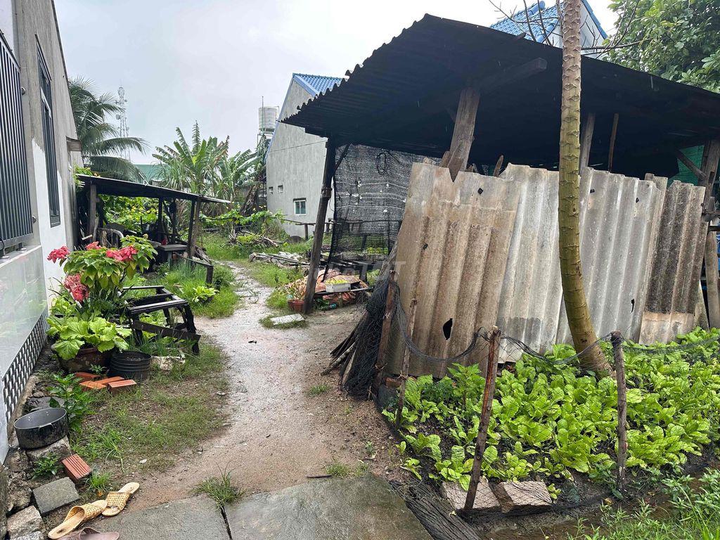 ĐẤT NỀN