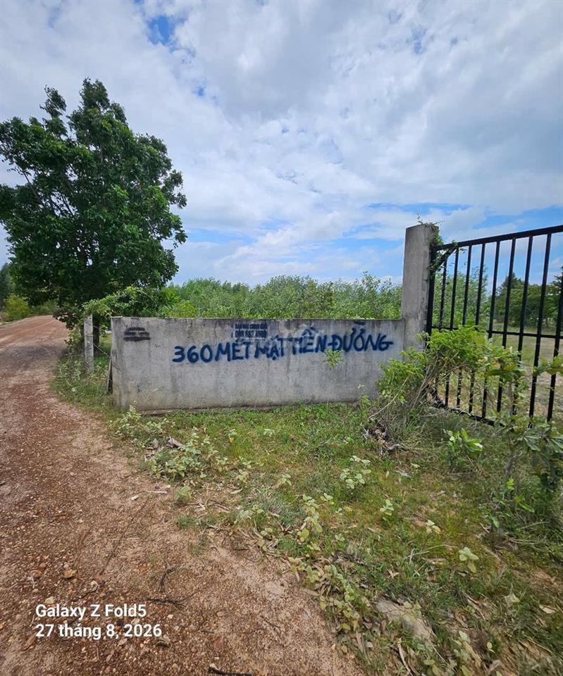 BÁN ĐẤT XÂY DỰNG TRANG TRẠI, HOMESTAY- BÌNH THUẬN 🔥 Giá siêu HOT: 7 tỷ