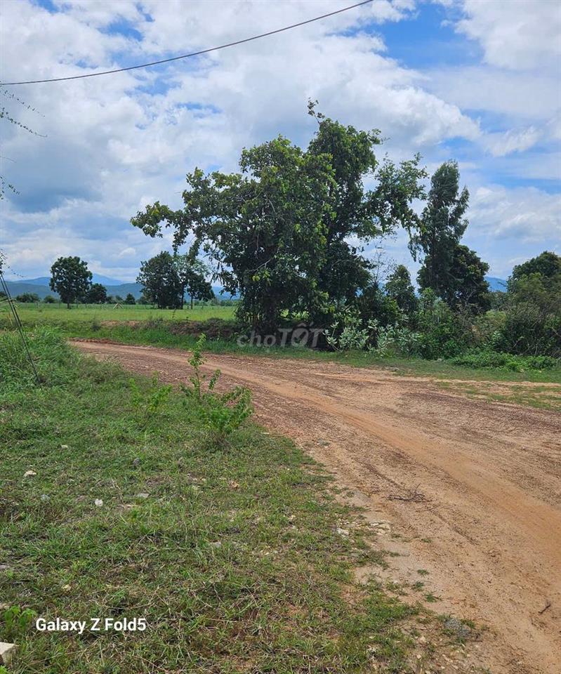BÁN ĐẤT XÂY DỰNG TRANG TRẠI, HOMESTAY- BÌNH THUẬN 🔥 Giá siêu HOT: 7 tỷ